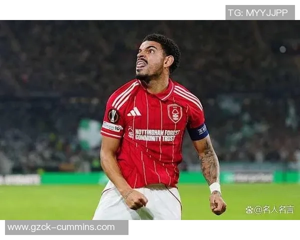 怀特足球明星有哪些值得关注的球员及其成就解析