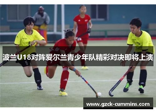 波兰U18对阵爱尔兰青少年队精彩对决即将上演