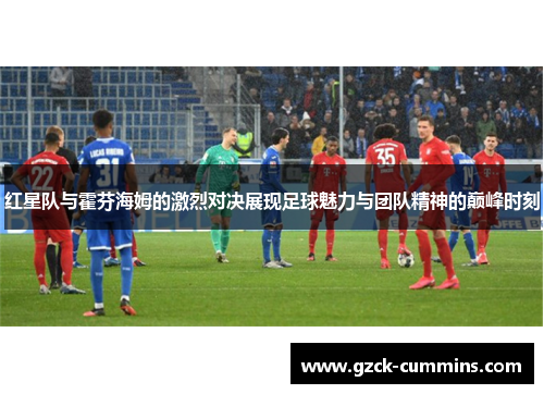 红星队与霍芬海姆的激烈对决展现足球魅力与团队精神的巅峰时刻